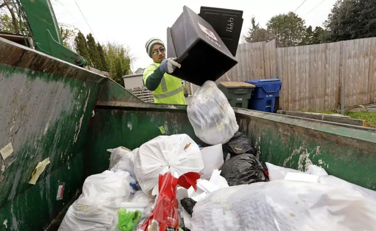 waste removal dubai
